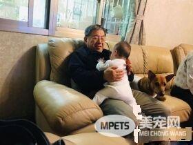 阿公马杀鸡服务 犒赏照顾宝宝的米克斯保姆