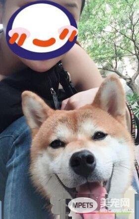 汪狼式仰天长嚎帮和音 快破音的烟酒嗓让人笑翻