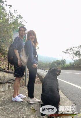 汪陪粉丝等公车 马麻怎么叫就是酷酷的不肯回头