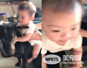 萌片录到一半时 坐骑汪超淡定将妹妹载走!