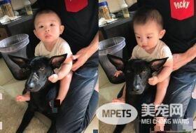 萌片录到一半时 坐骑汪超淡定将妹妹载走!