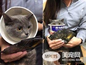 省钱妙招看这边! 便宜又实用的羞羞圈