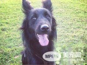 什么时候喜欢上慵懒风 汪完美诠释刚睡醒模样