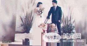 兄妹导盲犬为视障主人牵红线 成幸福4口