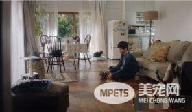 日本Google猫奴系列广告 7种只有内行人才懂的瞬间