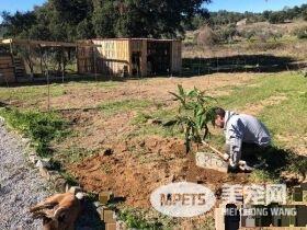 星际异攻队火箭浣熊发病去世 粉丝纷纷留言悼念