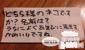 兽医分享往事收到主人留言 结局让万名网友泪崩