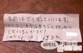 兽医分享往事收到主人留言 结局让万名网友泪崩