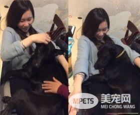 吃豆腐吃的太明显啦! 好色米克斯专挑美女下手