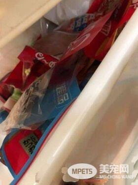 下班阿公阿嬷一人喂一只 喵孙被当人类小孩在疼