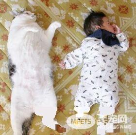 猫哥哥和人类弟弟的成长日记 看起来超级幸福!