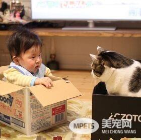 猫哥哥和人类弟弟的成长日记 看起来超级幸福!
