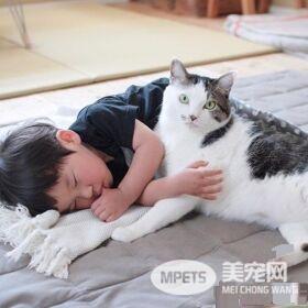 猫哥哥和人类弟弟的成长日记 看起来超级幸福!