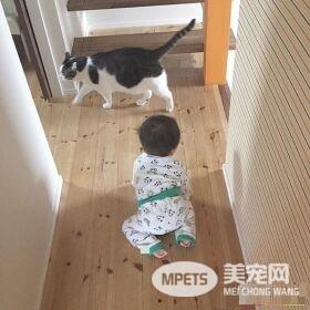 猫哥哥和人类弟弟的成长日记 看起来超级幸福!