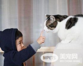 猫哥哥和人类弟弟的成长日记 看起来超级幸福!