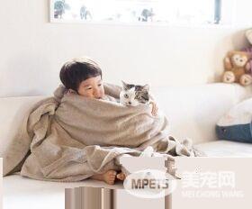 猫哥哥和人类弟弟的成长日记 看起来超级幸福!