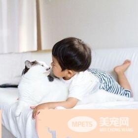 猫哥哥和人类弟弟的成长日记 看起来超级幸福!