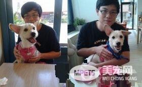 姐妹俩迎接爸爸回家 马麻吃醋没有特别礼遇