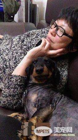 和狗狗一起生病差点被送养 如今成妈妈亲生的
