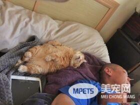超级贪睡喵星人 睡眠深层到能够边睡边剪指甲