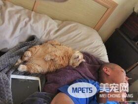 超级贪睡喵星人 睡眠深层到能够边睡边剪指甲