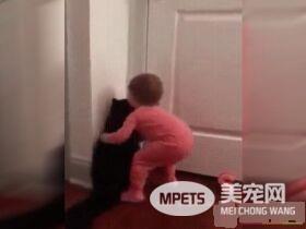 太矮了构不到门把 猫咪成功帮小主人开门