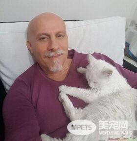 猫咪鬼门关前走了一回 因祸得福获真命猫奴