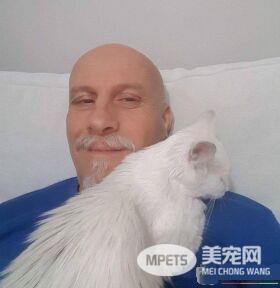 猫咪鬼门关前走了一回 因祸得福获真命猫奴