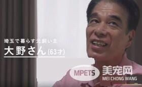 猫咪到底认得主人声音吗？答案在这支广告里