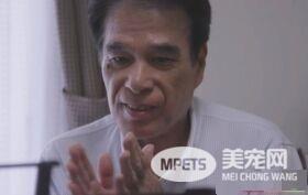 猫咪到底认得主人声音吗？答案在这支广告里