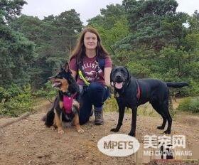 盲人被骂骗子赶下公车 无知妇女：导盲犬没有黑的