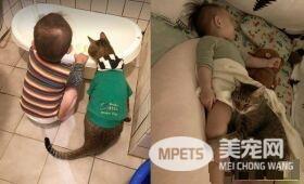 吸猫运动请从小做起 小小年纪就有专业猫奴气质