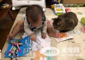 吸猫运动请从小做起 小小年纪就有专业猫奴气质