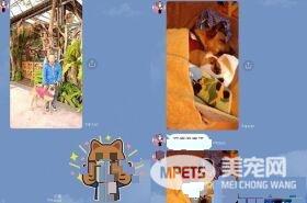 阿公不舍金孙回家 霸气传简讯这个月放我这