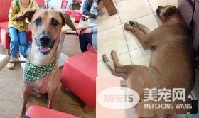 阿公不舍金孙回家 霸气传简讯这个月放我这