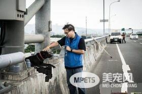 板桥第一暖男 帮助瘫痪的小狗重拾笑容与活泼