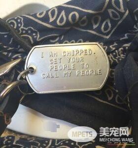 这些歪果人毛小孩吊牌 超有趣的搞怪内容