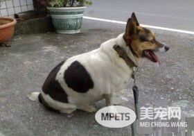 时间与回忆都静止了 谷歌地图带你回忆过去