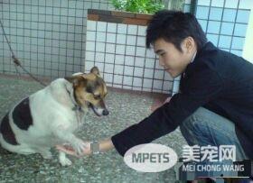 时间与回忆都静止了 谷歌地图带你回忆过去