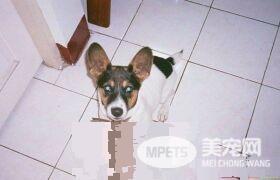 时间与回忆都静止了 谷歌地图带你回忆过去