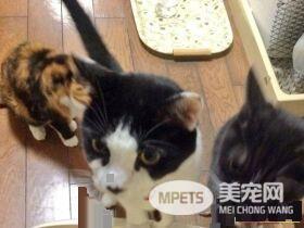 贪吃哥哥被弟弟暴打 超冲击性的画面被拍下
