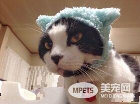 贪吃哥哥被弟弟暴打 超冲击性的画面被拍下