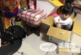 黑喵哥哥带坏人类妹妹 不爽表情简直一模一样