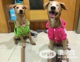清楚明了的家中地位 平民和奴隶寻找翻身的机会