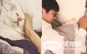 男子过敏24年吸猫治愈 咪咪是抗敏良药！