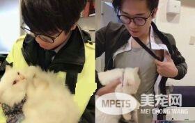 男子过敏24年吸猫治愈 咪咪是抗敏良药！
