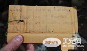 12岁牧羊犬突然走失 原来是救援佳话一则