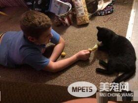 难忘的圣诞礼物! 爱猫男孩收到妈妈准备的惊喜