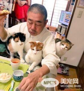 吃个饭压力好大！日本住持每天被爱猫包围