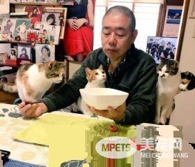吃个饭压力好大！日本住持每天被爱猫包围